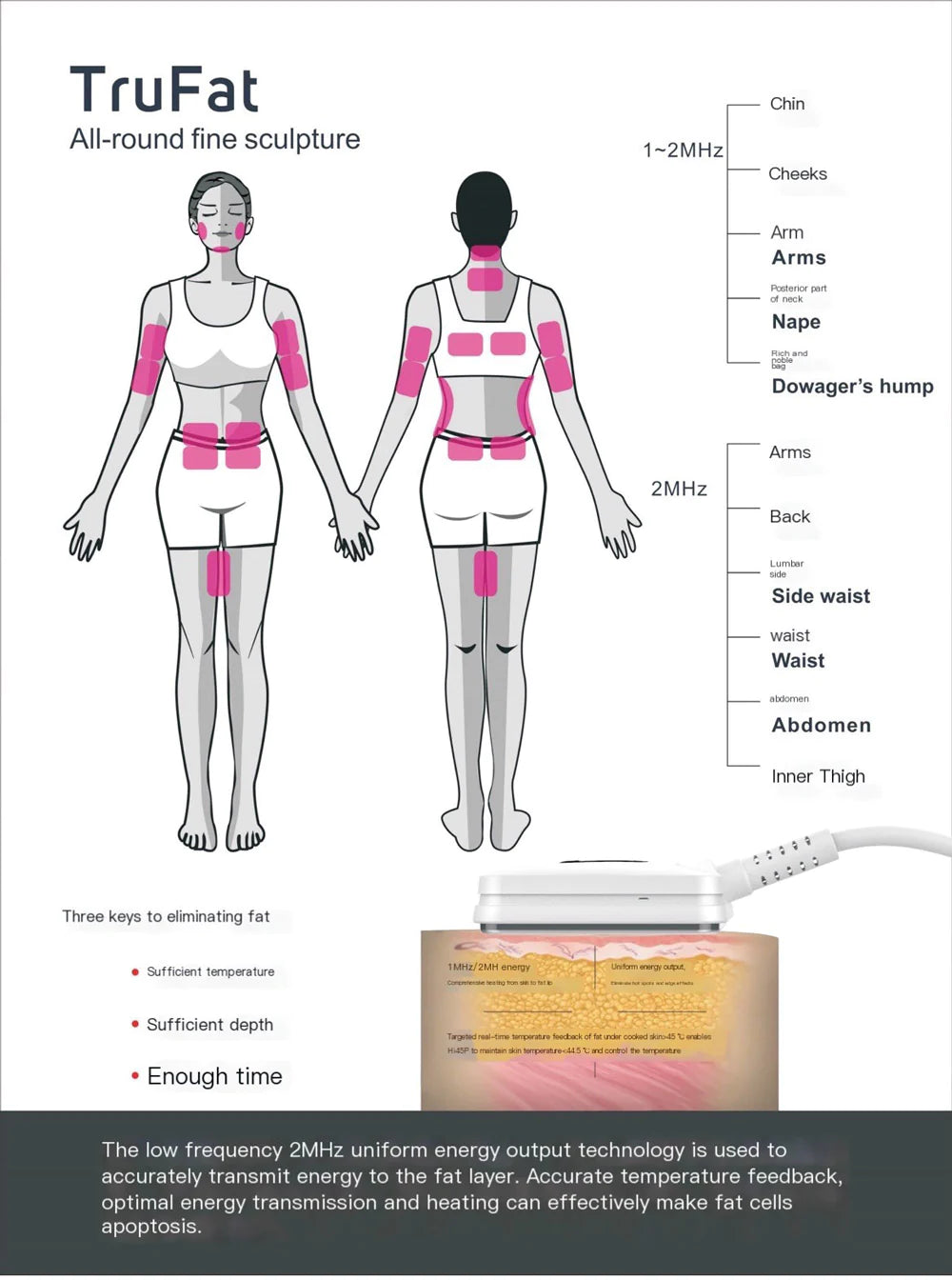 BRÜUN Multi-Functional RF Fat Reduction Body Sculpting Face Lifting Machine